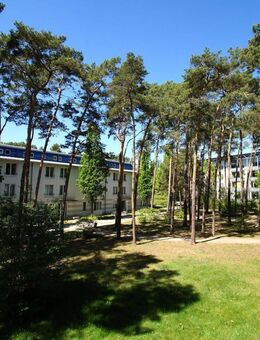 ++ NEU: 2-RW mit EBK, Balkon und Keller++ - Jessen (Elster)