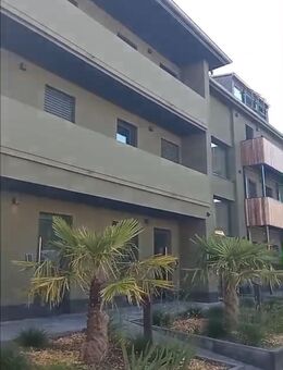 Montieurzimmer/ WG/ Gästezimmer - Mannheim