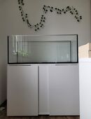 Weihnachten kommt: Aquarium mit Unterschrank in 96231