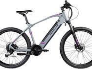 Zündapp E-Bike Mountainbike Z808, 24 Gang Alivio Schaltwerk, Kettenschaltung, Heckmotor, 504 Wh, Pedelec, Elektrofahrrad für Damen u. Herren, MTB