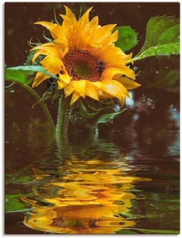 Artland Wandbild Sonnenblume, Blumen (1 St), als Alubild, Outdoorbild, Leinwandbild, Poster, Wandaufkleber