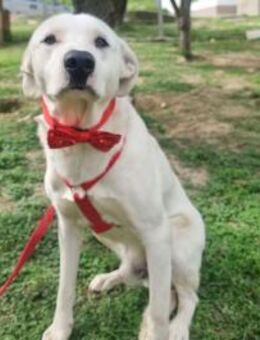 Tobya - Rieden (Rheinland-Pfalz)