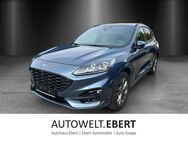 Ford Kuga, Sportpaket A, Jahr 2021 - Weinheim