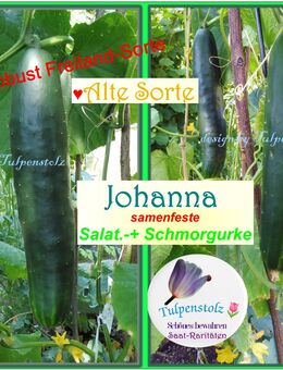 ♥ BIO Salatgurke Johanna samenfeste, historische alte Sorte, Samen,Tulpenstolz Garten,dunkelgrün,bitterfrei,Gurke, Cucumis sativus,seeds,herbs,Saatgut,Sämereien - Hamburg