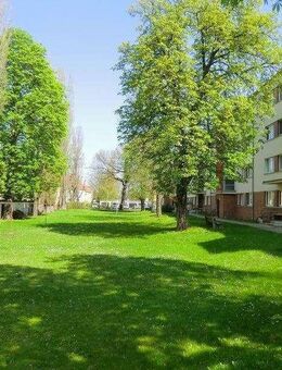 *** TOLLE 3 RAUMWOHNUNG IN ZWENKAU ~ STELLPLATZ *** www.Romeo-Immobilien.de - Zwenkau