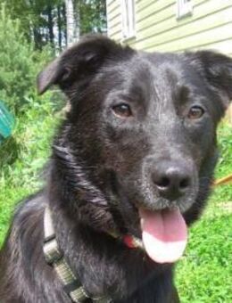 MASHA liebt Kinder - Bad Bevensen