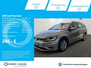 VW Golf Variant, 1.5 TSI VII Comfortline, Jahr 2019 - Aschaffenburg