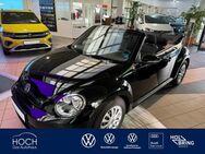 VW Beetle, 1.2 TSI Cabriolet, Jahr 2016 - Gladenbach