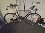 Fahrrad rennrad 26 zoll - Berlin Treptow-Köpenick
