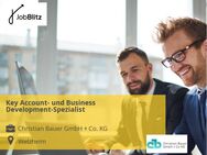 Key Account- und Business Development-Spezialist - Welzheim