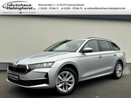 Skoda Octavia, 2.0 TDI IV Combi Selection Cargo, Jahr 2022 - Castrop-Rauxel