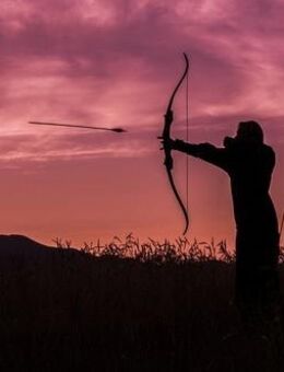 `Mas Special´ Magnetfeldtherapie Steuergeraet + MagnetfeldMatte - Göttingen