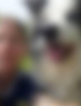 Dra*** - Michelau (Oberfranken)