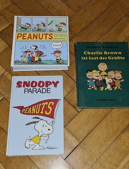 Tim und Struppi Peanuts Snoopy Charlie Brown Bücher Hefte - Berlin