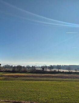 Freie Sicht ins Grüne... - Kressbronn (Bodensee)