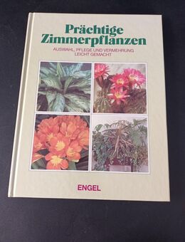 Prächtige Zimmerpflanzen - Auswahl, Pflege und Vermehrung leicht gemacht - Essen