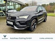 CUPRA Ateca, 2.0 TSI Edition VZ Panodach beats, Jahr 2023 - Nienburg (Weser)