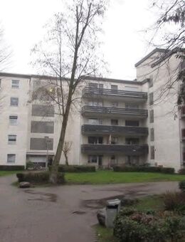 Schöne Eigentumswohnung mit Balkon in 50126 Bergheim-Zieverich - Bergheim (Nordrhein-Westfalen)