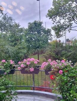 Attraktives Investment im 6-Familienhaus - Dresden