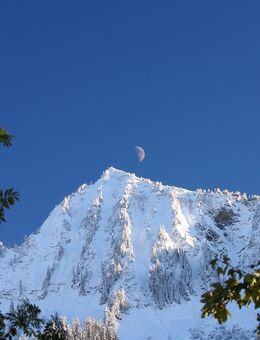 Suchen Berg-Hütte - Bauernhaus oder ähnliches Objekt - Kressbronn (Bodensee)