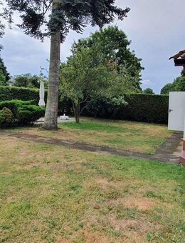 Hofreite mit Einfamilienhaus mit Einliegerwohnung, Scheune und Nebengebäuden in direkter Niddalage! - Karben