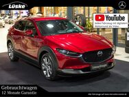 Mazda CX-30, 2.0 Selection °, Jahr 2019 - Cloppenburg