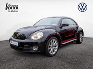 VW Beetle, 1.4 TSI Club, Jahr 2015 - Uelzen