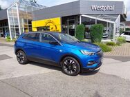 Opel Grandland X 120 Jahre 1.2 Start/Stop - Eschweiler