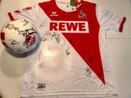 1.Fc Köln Fan Paket - Trikot + Ball Signiert - XL - Bergheim (Nordrhein-Westfalen)