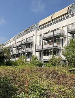 Gepflegte Wohnung in ruhiger Lage von Bad Godesberg zu vermieten - Bonn