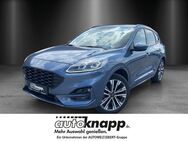 Ford Kuga, 2.5 ST-Line X, Jahr 2021 - Weinheim