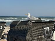 ++ FERIENVERMIETUNG ERLAUBT - Grundstück für ein MFH an der Ostsee ++ - Scharbeutz