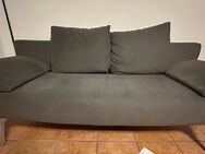 2 Stück Rolf Benz Sofa 1600 , 203cm und 185 cm grau - Ditzingen