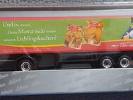 MB ACTROS LKW "Kathi" von Schuco H0 Edition 1:87 in OVP - Zwickau