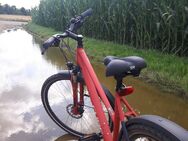 Cross/Trekkingrad - Schweinfurt