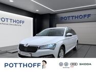 Skoda Superb, COMBI AMBITIONDSG, Jahr 2024 - Hamm