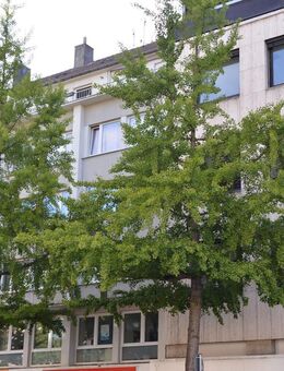 Im Herzen von Bad Aachen, den Weitblick genießen! - Aachen