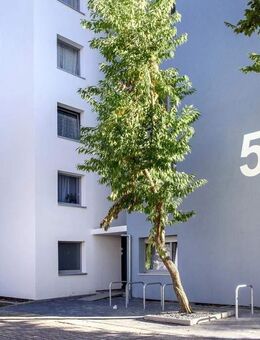 Familienwohnung auf der Karthause - Koblenz