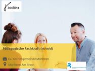 Pädagogische Fachkraft (m/w/d) - Monheim (Rhein)