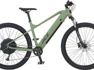 Prophete E-Bike Mountainbike Dice 2.8, 9 Gang Shimano Alivio Schaltwerk, Kettenschaltung, Heckmotor, 480 Wh