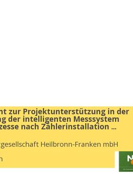 Werkstudent zur Projektunterstützung in der Optimierung der intelligenten Messsystem (iMSys) Prozesse nach Zählerinstallation (m/w/d) - Heilbronn