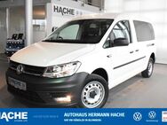 VW Caddy, 2.0 TDI Maxi Kasten, Jahr 2020 - Blomberg (Nordrhein-Westfalen)