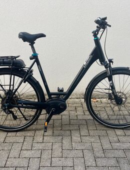 E-Bike Pegasus E10 - Haltern (See)