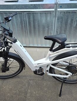 Riese und Müller Homage mit Boschmotor Cx und Riemenantrieb - Hamburg Wandsbek