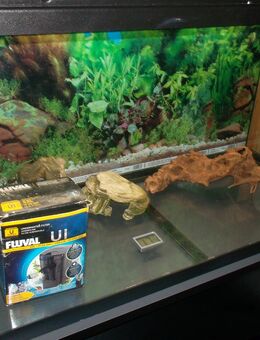 Eheim Aqarium 126 L mit LED Beleuchtung - Altena