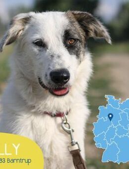 Kleine Milly sucht erfahrene Menschen - Tarmstedt