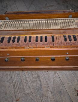 Indisches Harmonium - Meersburg