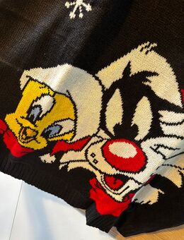 Looney Tunes Winterpulli XL - Mannheim