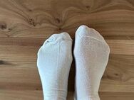 Getragene Slips /Socken - Sankt Augustin