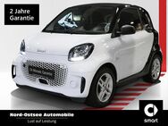 smart EQ fortwo, , Jahr 2021 - Trittau